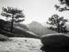 [thumbnail of Picture 36]