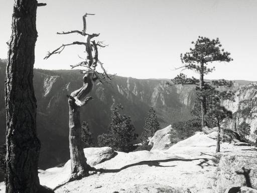 Image0290.web.jpg