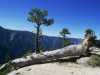 [thumbnail of Picture 9]