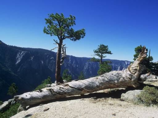 Image0299.web.jpg