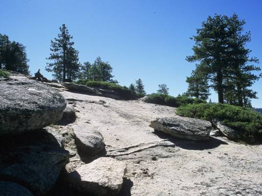 Image0300.web.jpg
