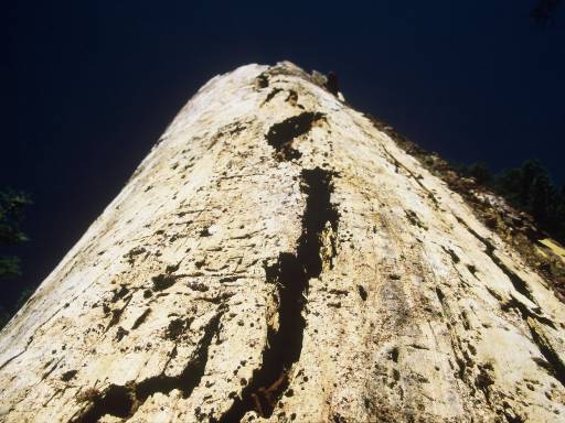 Image0301.web.jpg