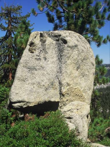 Image0314.web.jpg