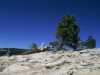 [thumbnail of Picture 27]