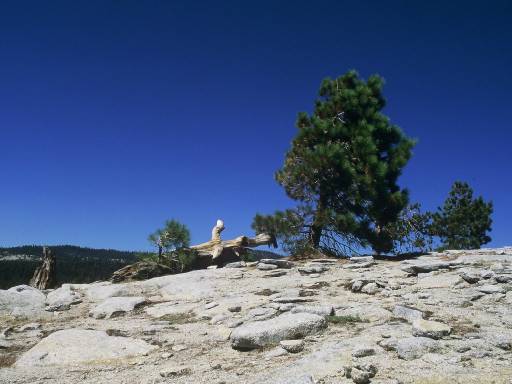 Image0317.web.jpg