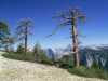 [thumbnail of Picture 29]
