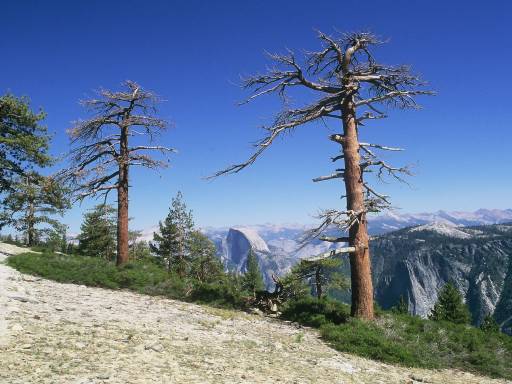 Image0319.web.jpg