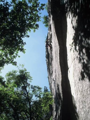 Image0357.web.jpg