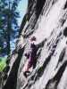 [thumbnail of Picture 30]