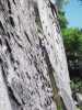 [thumbnail of Picture 31]