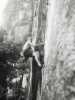 [thumbnail of Picture 1]