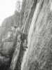[thumbnail of Picture 2]