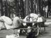 [thumbnail of Picture 7]