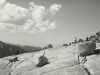 [thumbnail of Picture 8]
