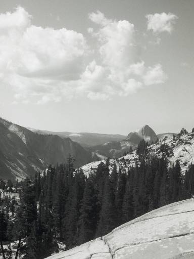 Image0155.web.jpg