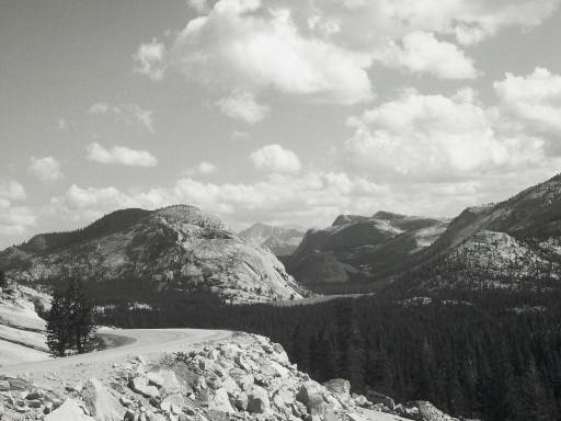 Image0157.web.jpg