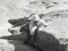 [thumbnail of Picture 19]
