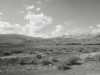 [thumbnail of Picture 31]