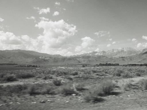 Image0178.web.jpg
