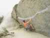 [thumbnail of Picture 3]