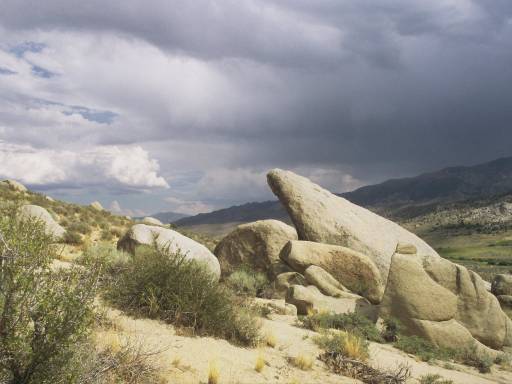 Image0192.web.jpg