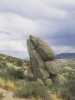 [thumbnail of Picture 10]