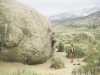 [thumbnail of Picture 13]