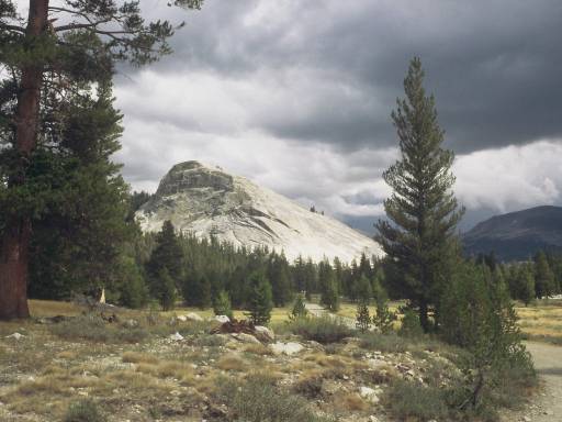 Image0208.web.jpg