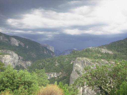 Image0211.web.jpg