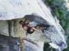 [thumbnail of Picture 8]