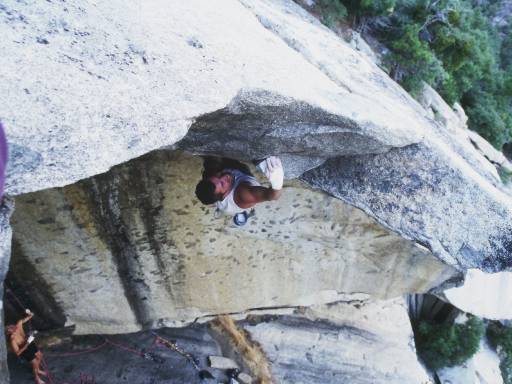 Image0231.web.jpg