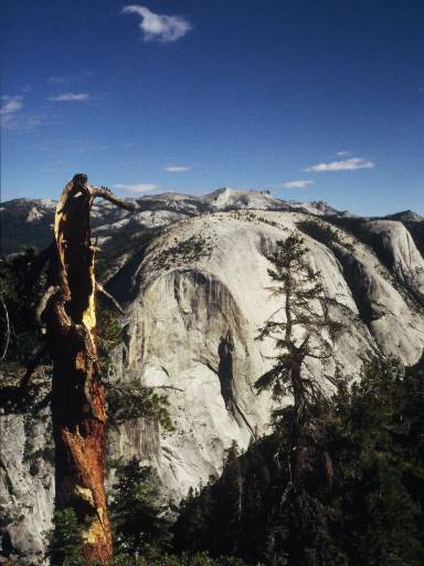 Image0237.web.jpg