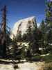 [thumbnail of Picture 19]