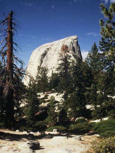 Image0238.web.jpg