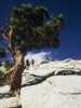 [thumbnail of Picture 21]