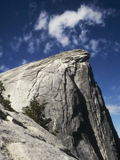 Image0241.web.jpg