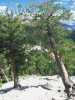 [thumbnail of Picture 24]