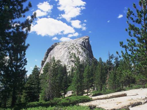 Image0066.web.jpg