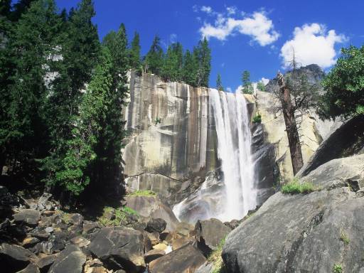 Image0075.web.jpg