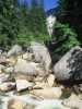 [thumbnail of Picture 35]