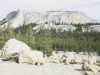 [thumbnail of Picture 14]