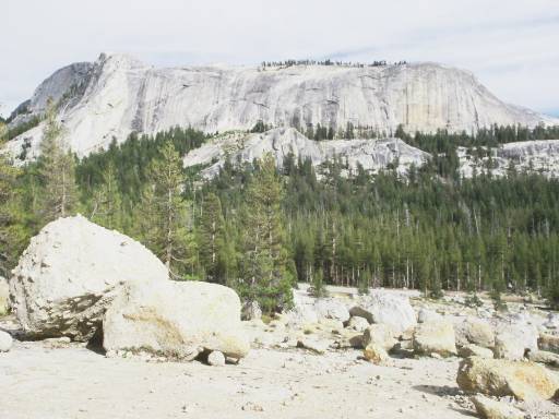 Image0091.web.jpg