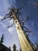 [thumbnail of Picture 15]