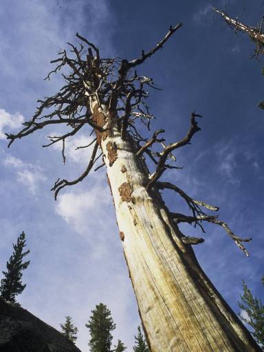 Image0092.web.jpg