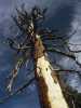 [thumbnail of Picture 16]