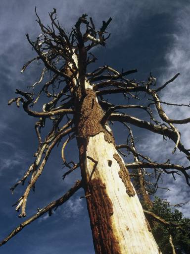 Image0093.web.jpg