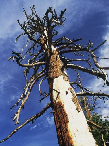 Image0094.web.jpg
