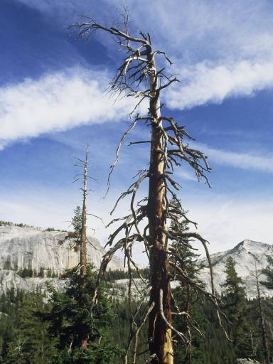 Image0095.web.jpg