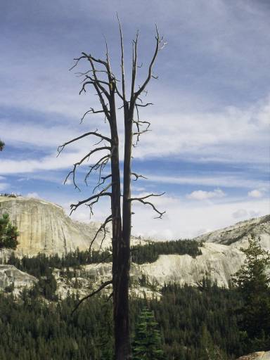 Image0096.web.jpg