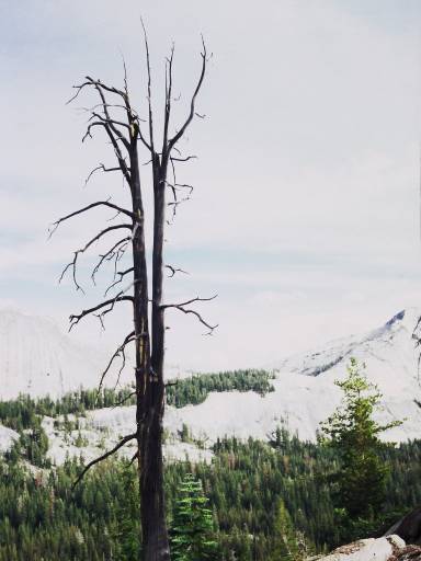 Image0097.web.jpg